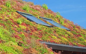 Hooton Roberts living roof systems